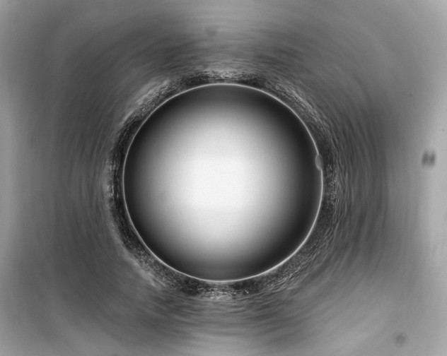 X0000099580738200805161235