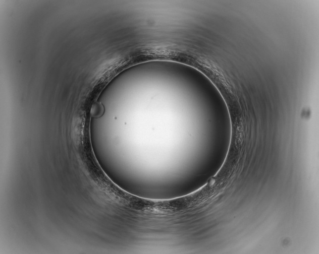 X0000099580739200805161235