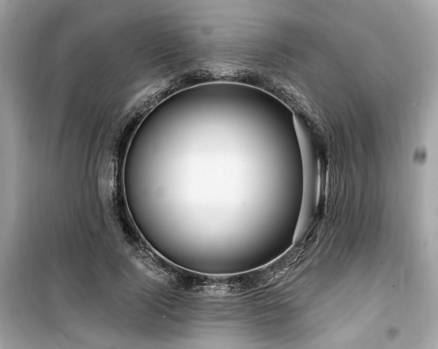 X0000099580740200805161235