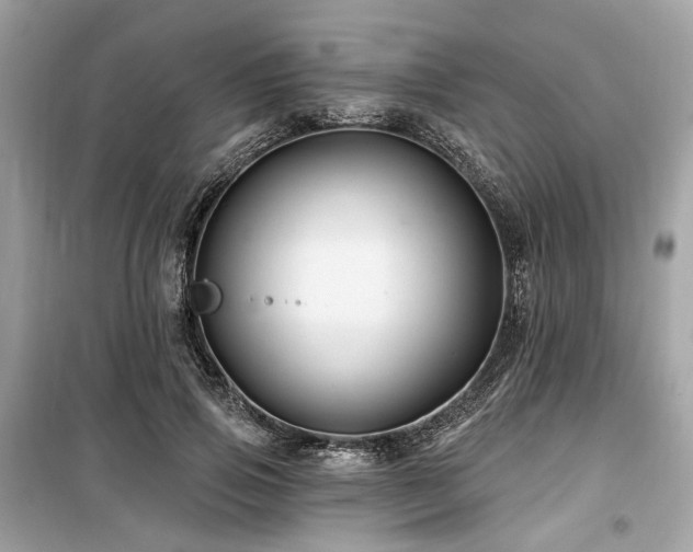 X0000099580741200805161235