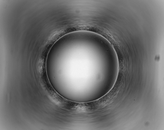 X0000099580742200805161235
