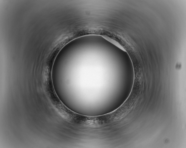 X0000099580744200805161235