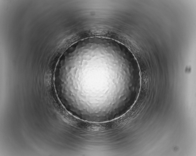 X0000099580745200805161235