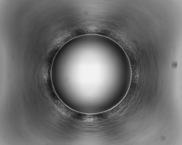 X0000099580746200805161235