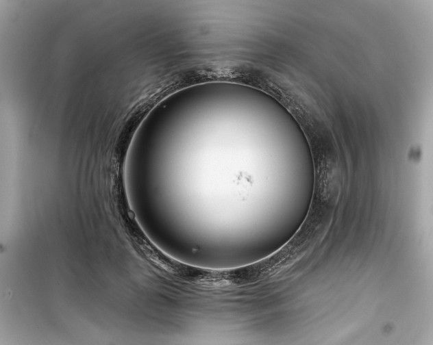 X0000099580747200805161235