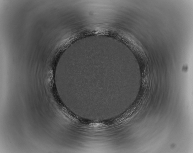 X0000099580748200805161235