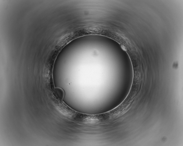 X0000099580749200805161235