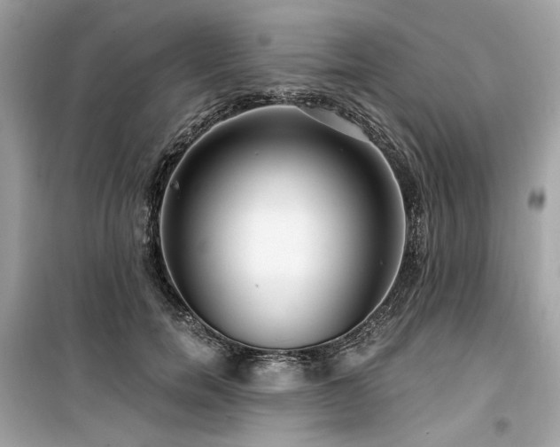X0000099580750200805161235