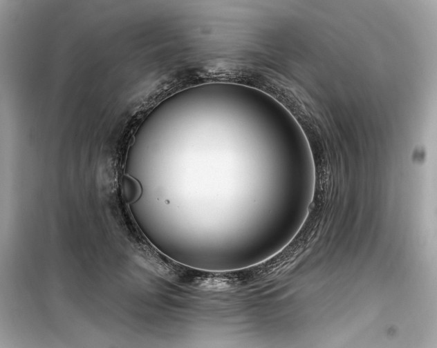 X0000099580751200805161235