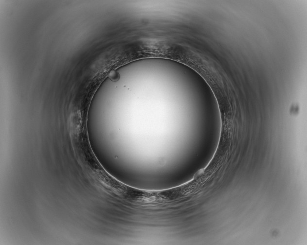 X0000099580752200805161235