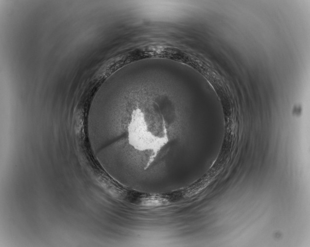 X0000099580754200805161235