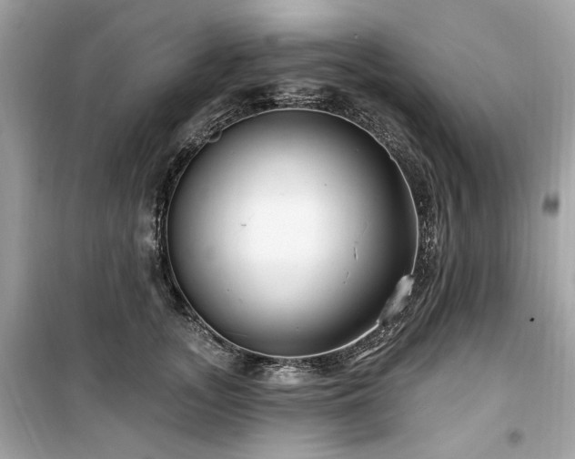 X0000099580755200805161235