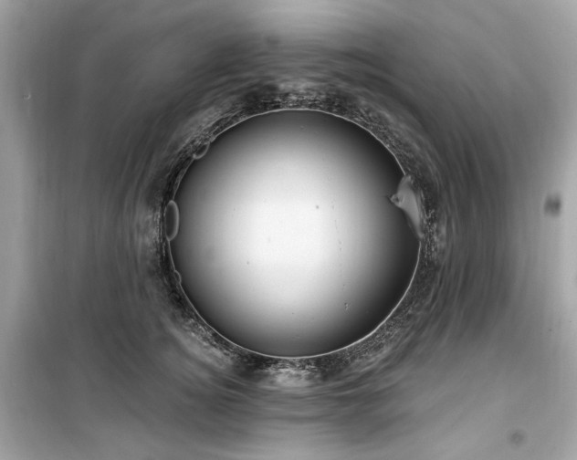 X0000099580756200805161235