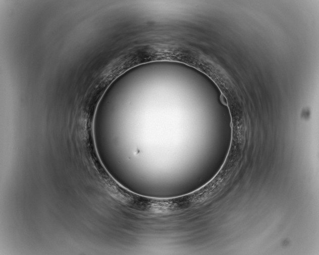 X0000099580757200805161235