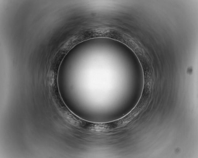 X0000099580758200805161235