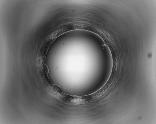 X0000099580759200805161235