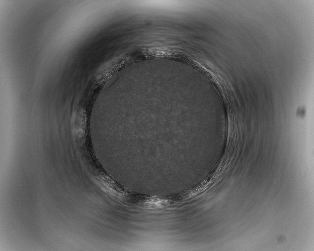 X0000099580760200805161235