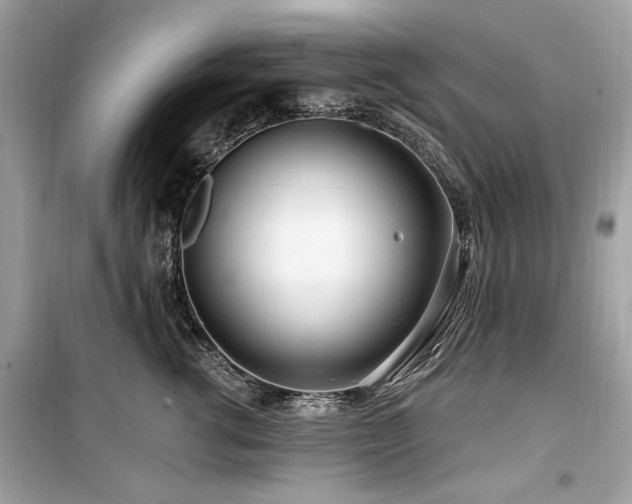 X0000099580762200805161235