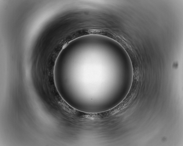 X0000099580763200805161235