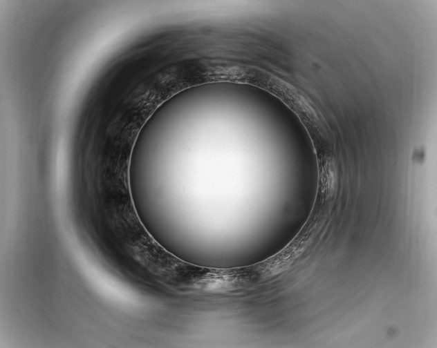 X0000099580764200805161235
