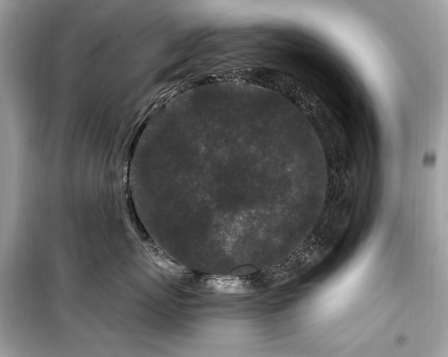 X0000099580767200805161235