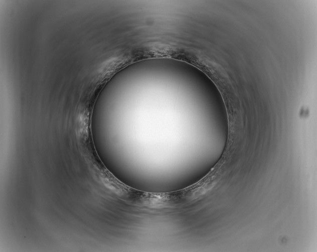 X0000099580768200805161235