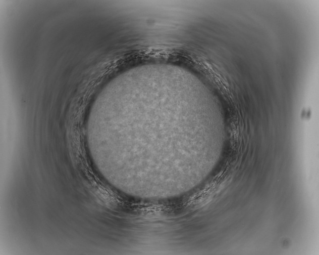 X0000099580769200805161235