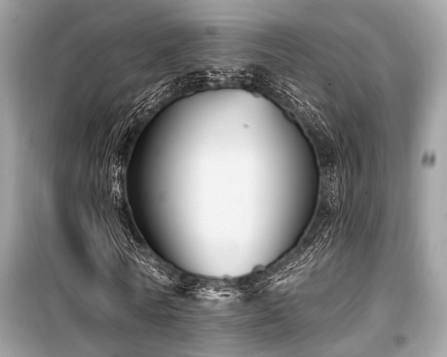 X0000099580770200805161235