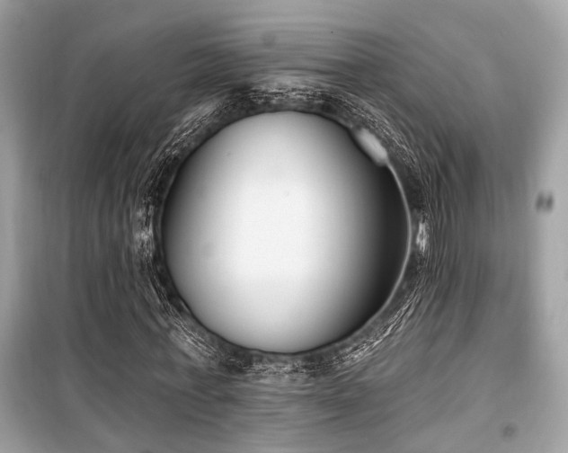 X0000099580771200805161235