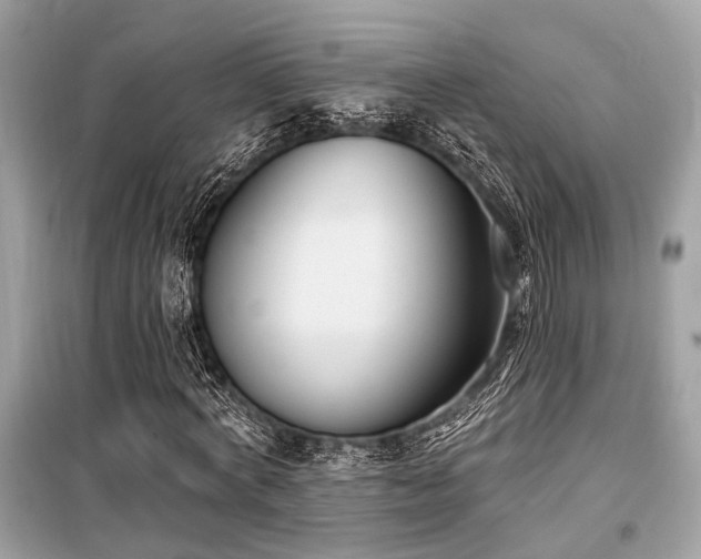 X0000099580772200805161235