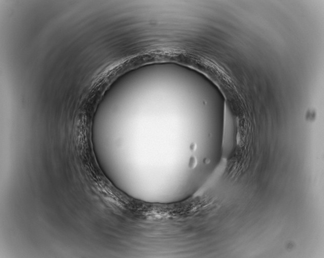 X0000099580773200805161235