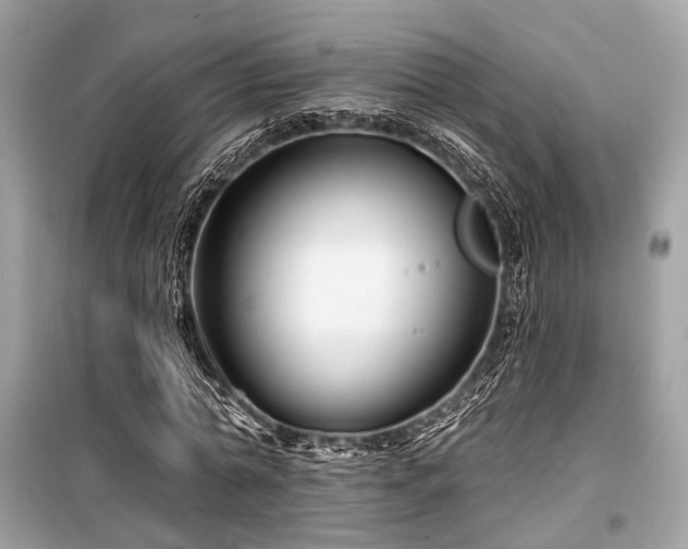 X0000099580774200805161235
