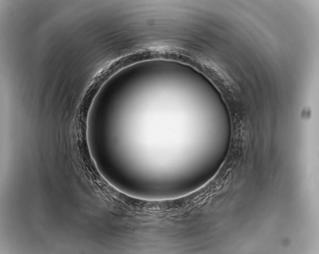 X0000099580776200805161234