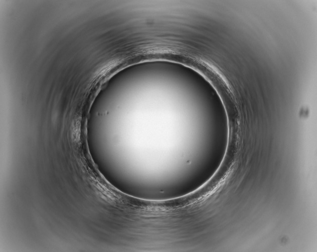 X0000099580777200805161234