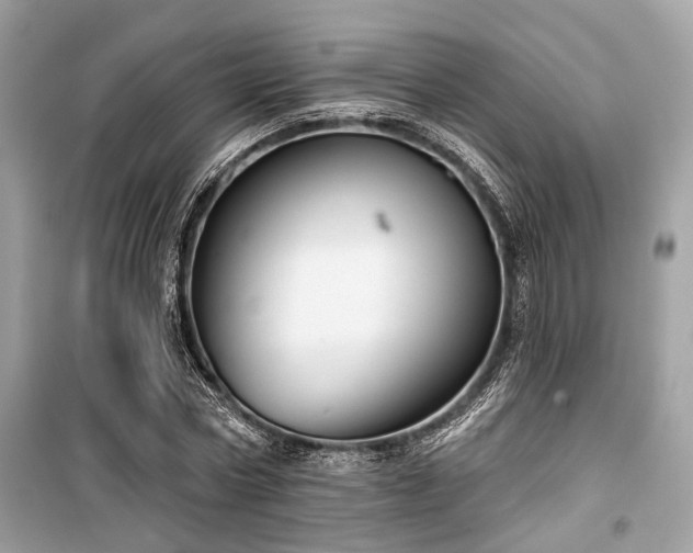 X0000099580778200805161234