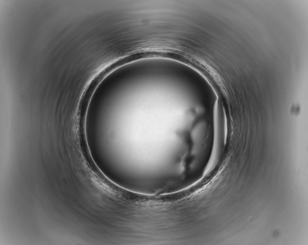 X0000099580779200805161234