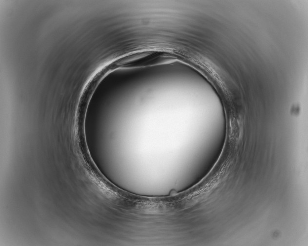 X0000099580780200805161234