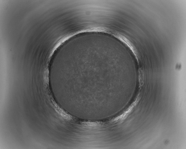 X0000099580781200805161234
