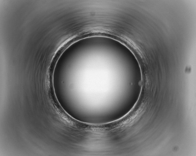 X0000099580782200805161234