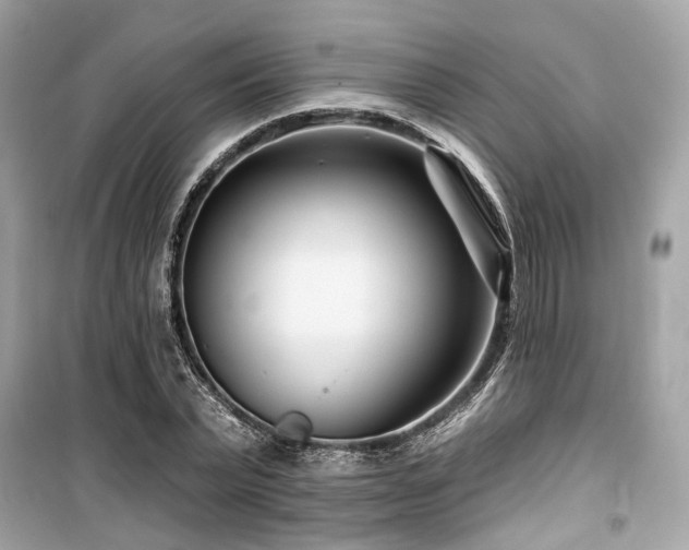 X0000099580783200805161234