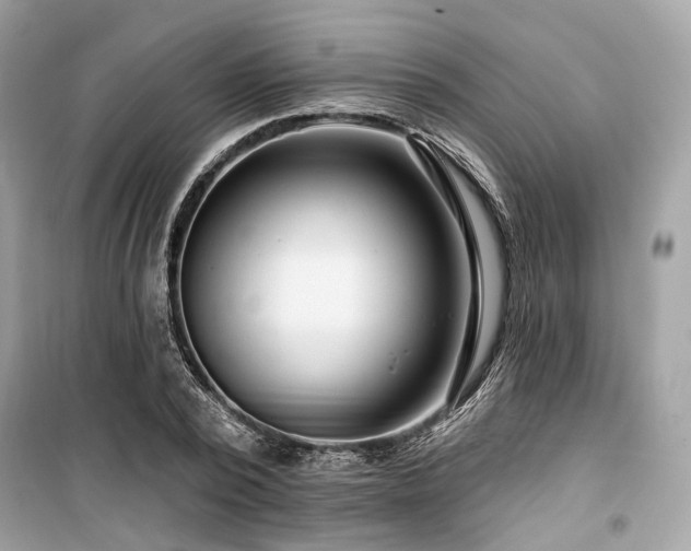 X0000099580784200805161234