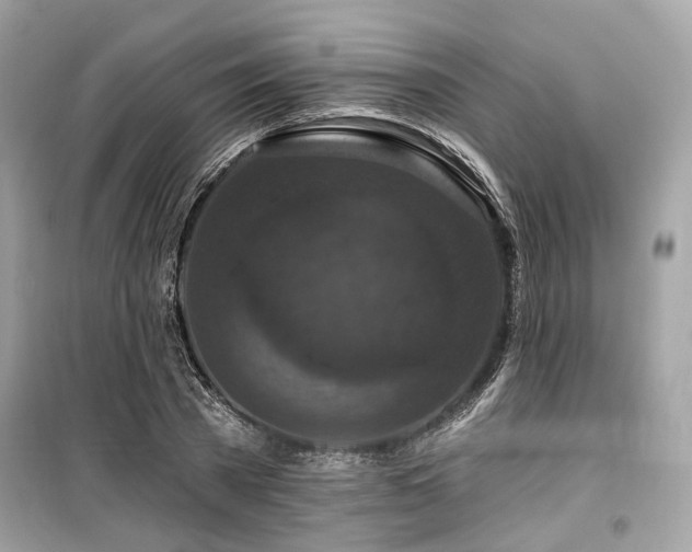 X0000099580785200805161234