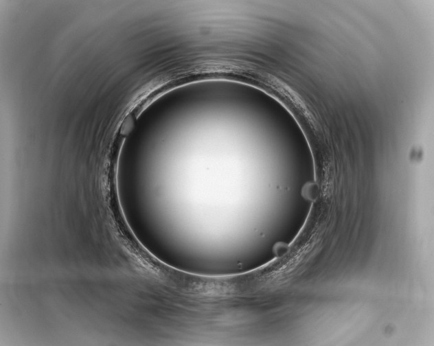 X0000099580786200805161234