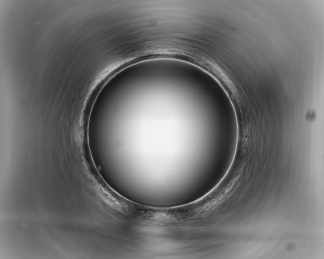 X0000099580787200805161234