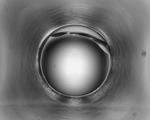 X0000099580788200805161234