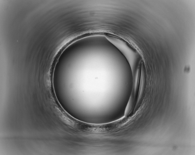 X0000099580789200805161234