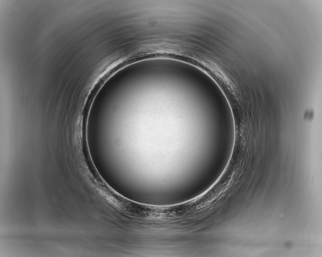 X0000099580790200805161234