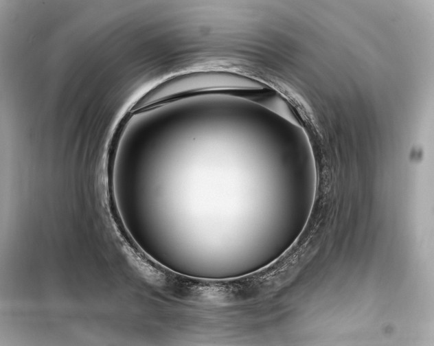 X0000099580792200805161234