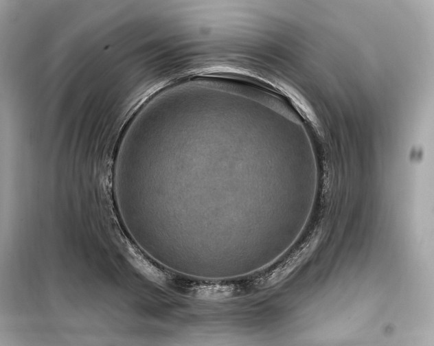 X0000099580793200805161234
