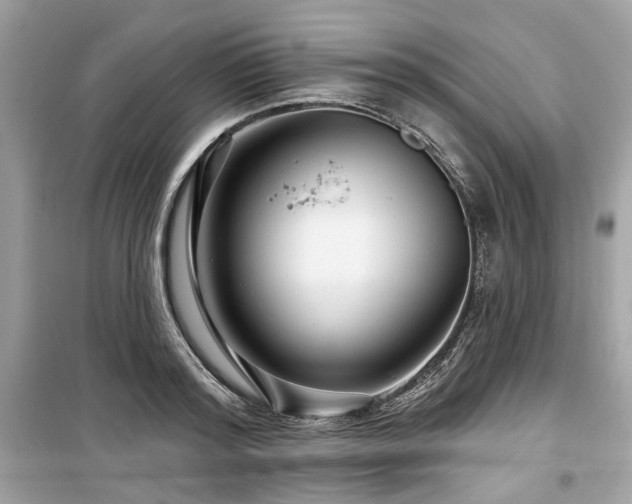 X0000099580796200805161234